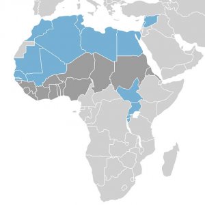 fabricants-de-médicaments-génériques-en-Afrique-et-au- Moyen-Orient